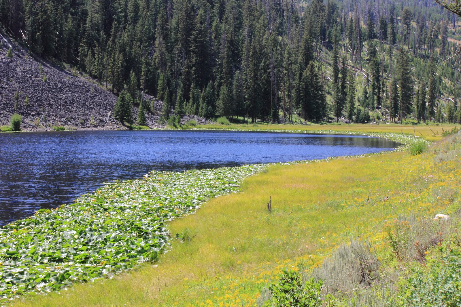 America by RV Hike In Yelowstone, The Lost Lake Trail