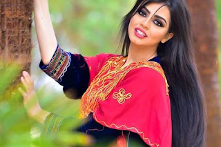نيرمين محسن ◁ السيرة الذاتية,ويكيبيديا,انستقرام نيرمين محسن ◁ السيرة الذاتية,ويكيبيديا,انستقرام