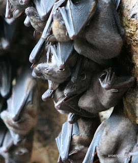 pura goa lawah klungkung