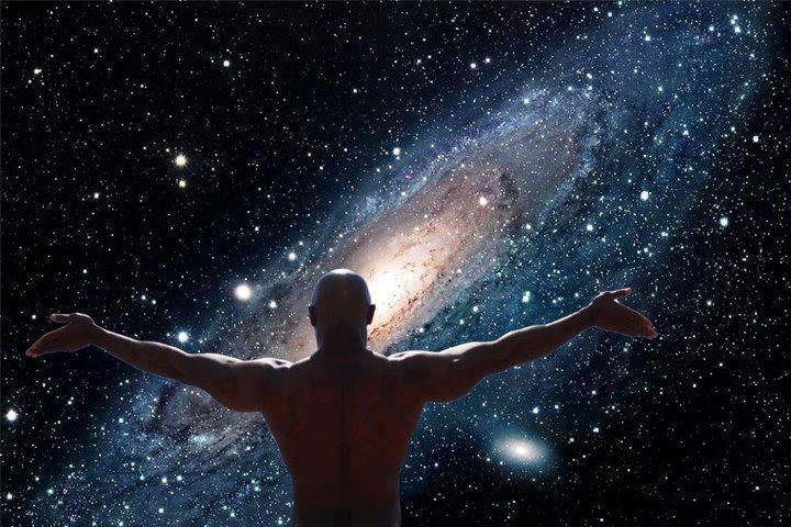 The Consciousness Conundrum: Philosophical Zombies and Vital Substrates