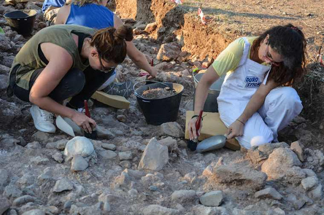 Meeting our Acheulian ancestors and their 'multipurpose tools' at the Rodaphnidia site, Lesbos Meeting our Acheulian ancestors and their 'multipurpose tools' at the Rodaphnidia site, Lesbos