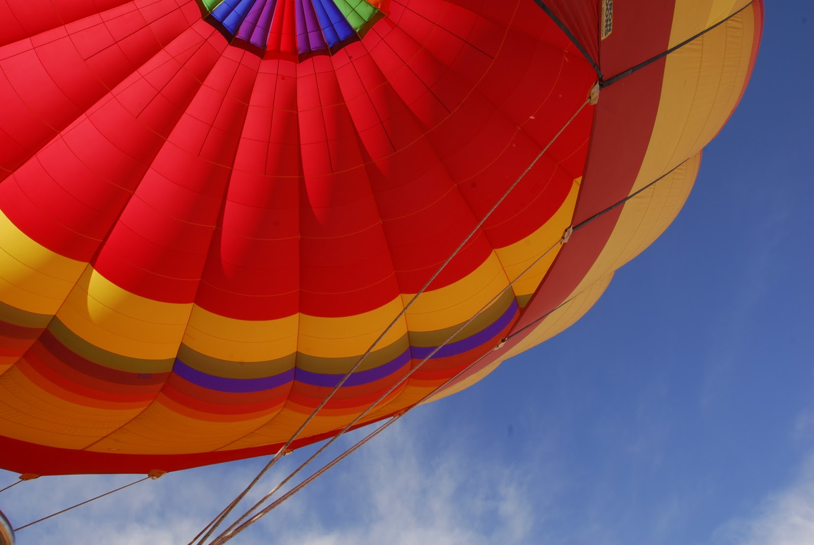 JOY STEIN An Artist's Life Hot Air Balloon Over Zion