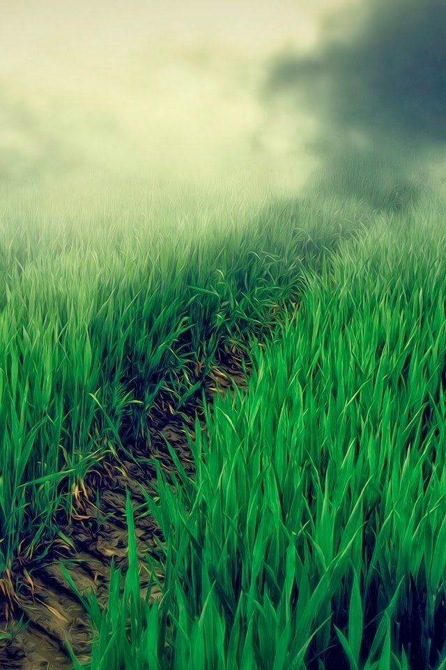 iPhone Nature HD Wallpaper Free Download | Informasi Harga