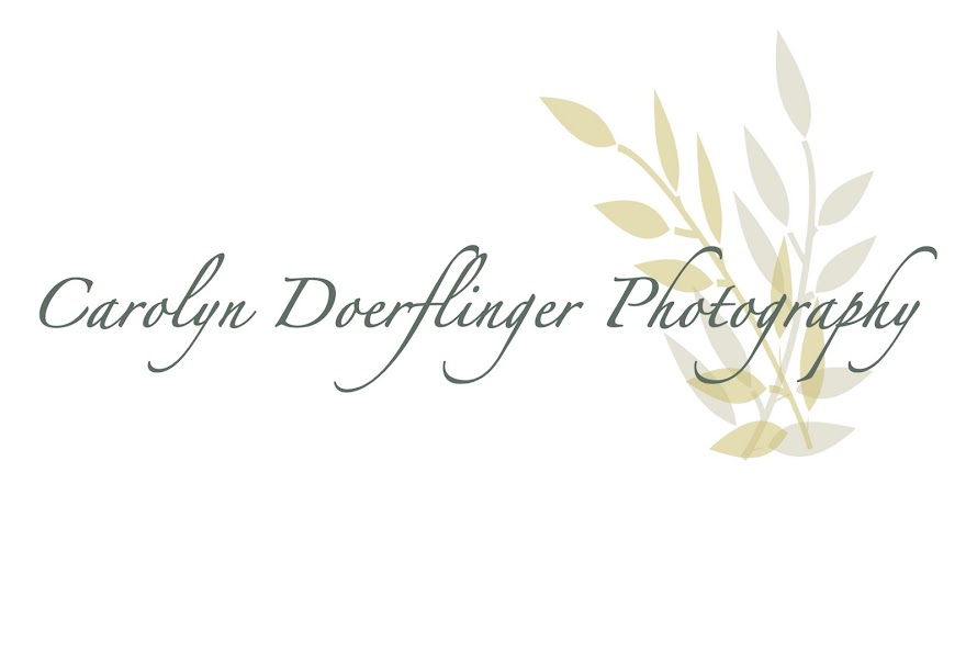 Carolyn Doerflinger Photography