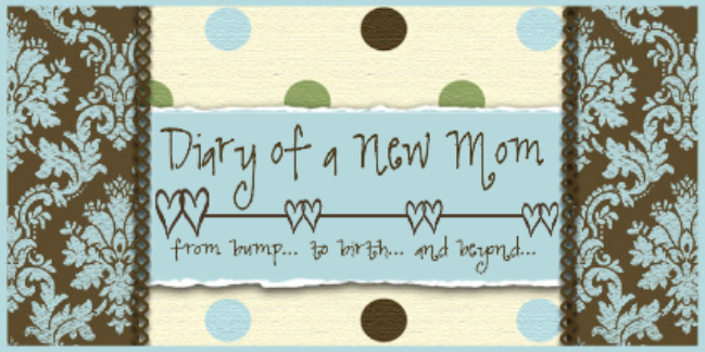 The Diary of a New Mom