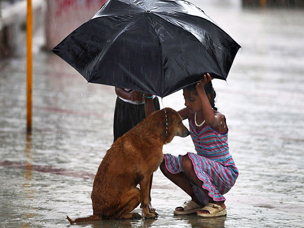 #10 A Girl Uses Her Umbrella To Protect A Stray Dog During Monsoon Rains In Mumbai - 12 Kids Who’ll Restore Your Faith In Humanity #10 A Girl Uses Her Umbrella To Protect A Stray Dog During Monsoon Rains In Mumbai - 12 Kids Who’ll Restore Your Faith In Humanity