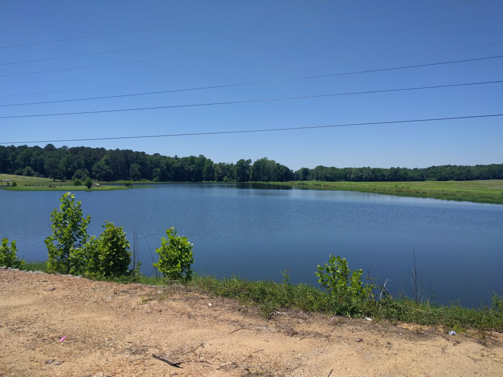 Biking Across America in 2016 and 2018 Day 49 Alamo, TN to Selmer, TN