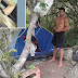 Foto mostra suspeito de matar turista em trilha onde corpo foi achado