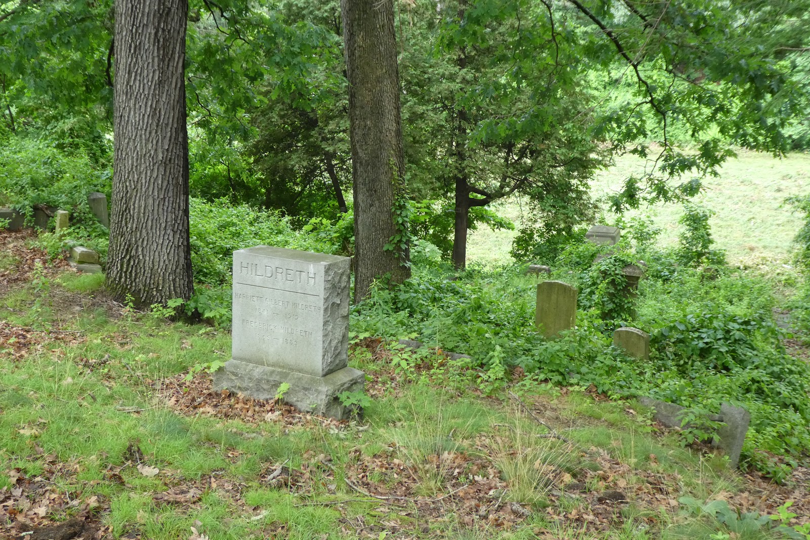 Nutfield Genealogy Tombstone Tuesday Hildreth mother and son
