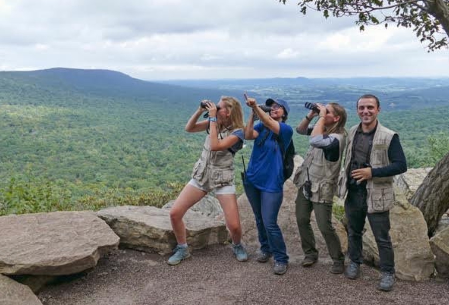 PA Environment Digest Blog Hawk Mountain Sanctuary Kicks Off Spring
