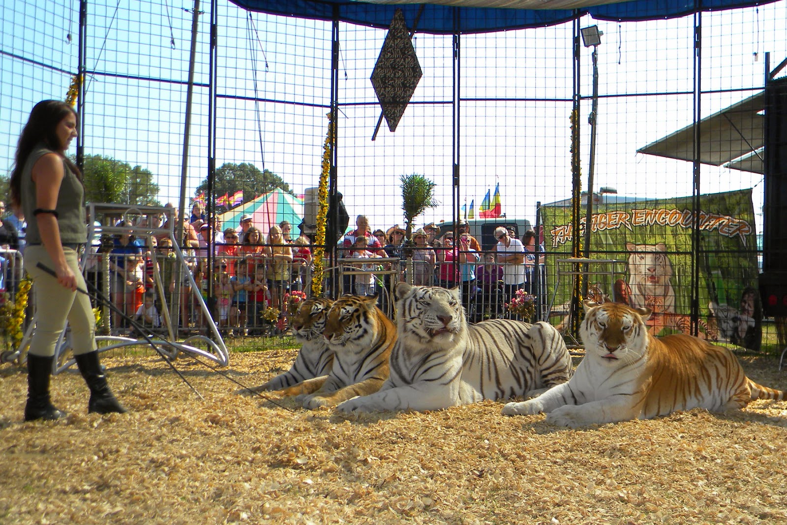 South Florida Blog for Fashion & Lifestyle Frugal Flirty N Fab