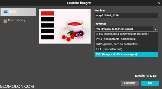 imagen formato pixlr imagen-formato-pixlr