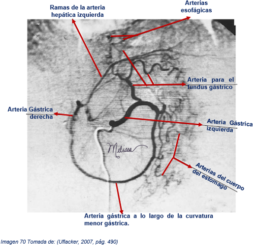 Actividad 5: Atlas de anatomía radiológica Grupo: 154003_33: 4. Tórax y ...