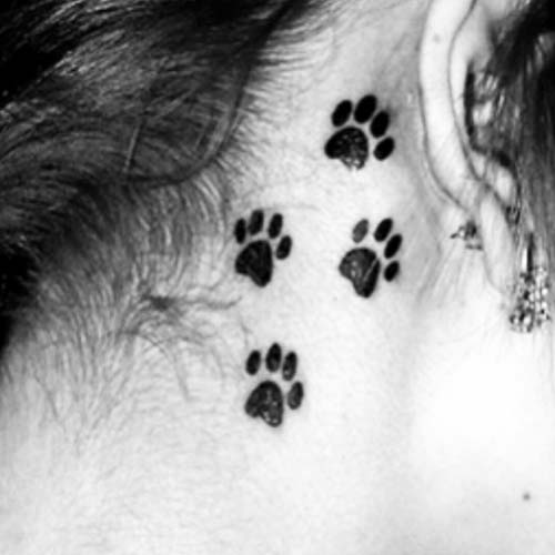 kulak arkası pati dövmesi behind ear paw tattoo kulak arkası pati dövmesi behind ear paw tattoo