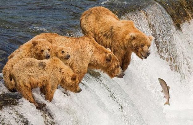 Perfect Timing HD Photography