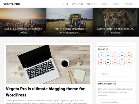 VegetaPro Premium Blogging WordPress Theme