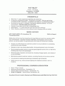 functional resume bus driver
