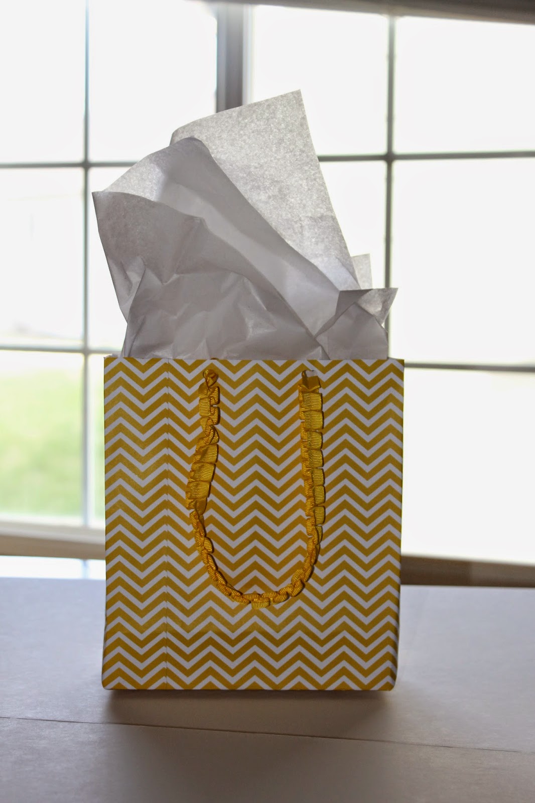 Lyndi's Projects Make Your Own Gift Bag