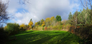 Benwell Nature Park, Newcastle upon Tyne. November 2012