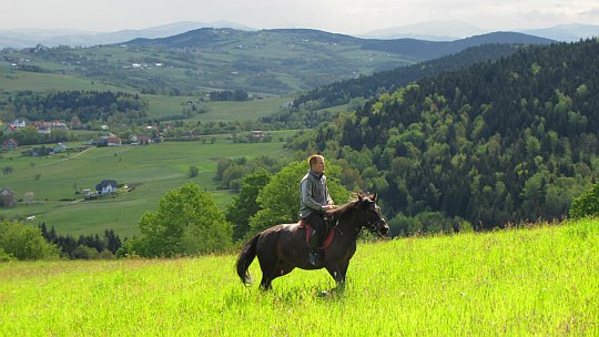 Jeździec na stokach wzniesienia Golec. Jeździec na stokach wzniesienia Golec.