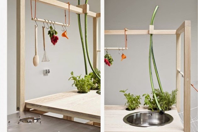 Cool Mobile Kitchen Design