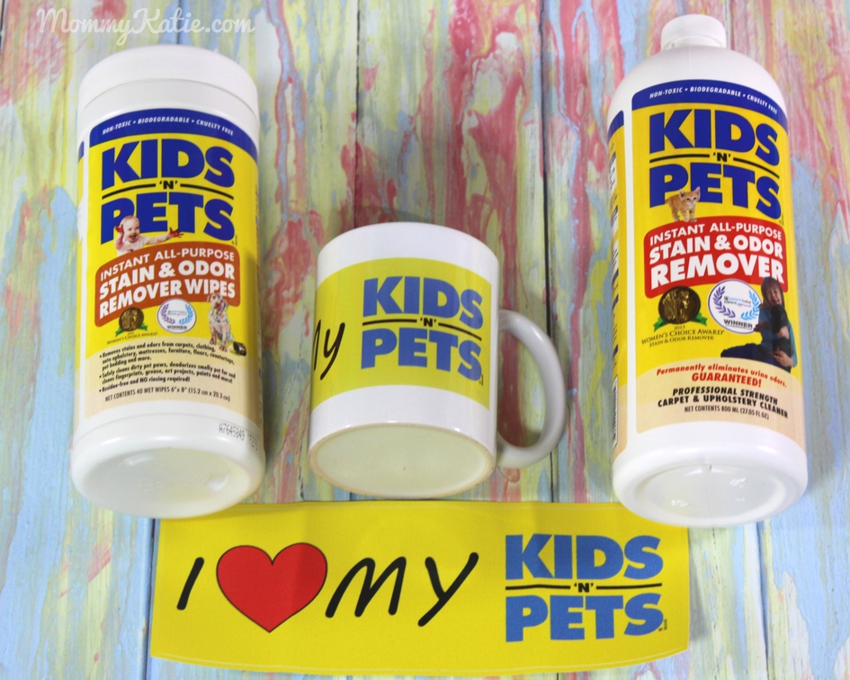 Clean Your Home with Safe NonToxic Cleaning Products from Kids 'N