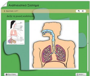 http://users.sch.gr/nipapadim/anapneustiko-help.html