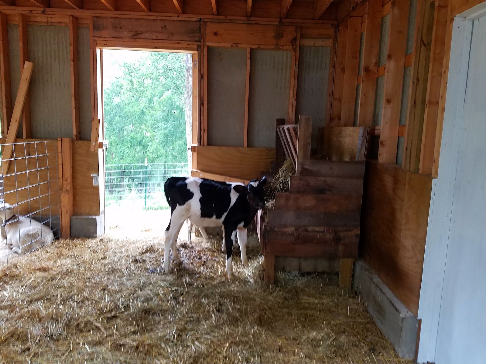 Play St. Louis Willoughby Heritage Farm, Collinsville IL