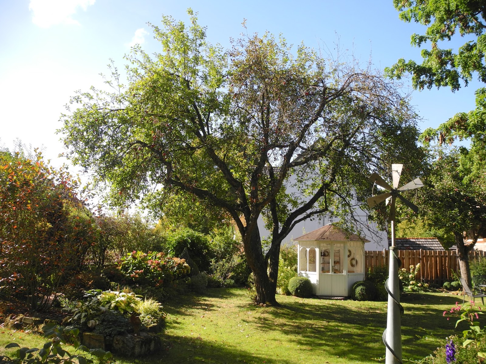 Alterserwartung von Apfelbäumen: Alterserwartung von Apfelbäumen: