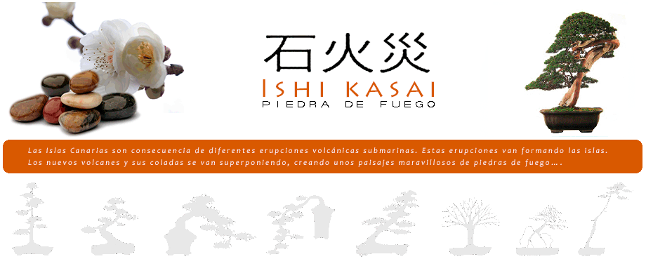 Ishi Kasai