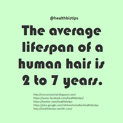 The average lifespan of a human hair is 2 to 7 years.