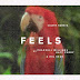 Calvin Harris - Feels Feat. Big Sean, Pharrell Williams,Katy Perry