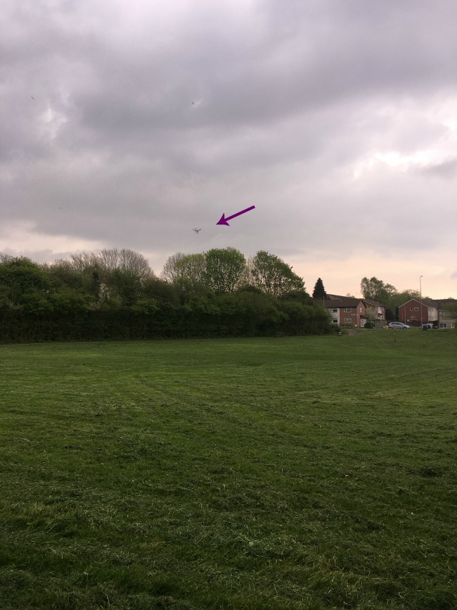 Image-of-a-field-with-trees-edging-it-and-an-arrow-pointing-to-a-blur-in-the-sky