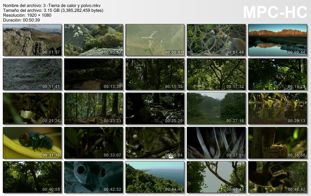 12GB|BBC|Madagascar Salvaje|FullHD 1080p|4-4|Mega|Taykun7000