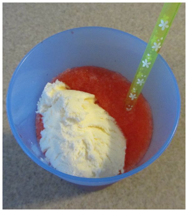 CONTROLLING Craziness Homemade Slushie