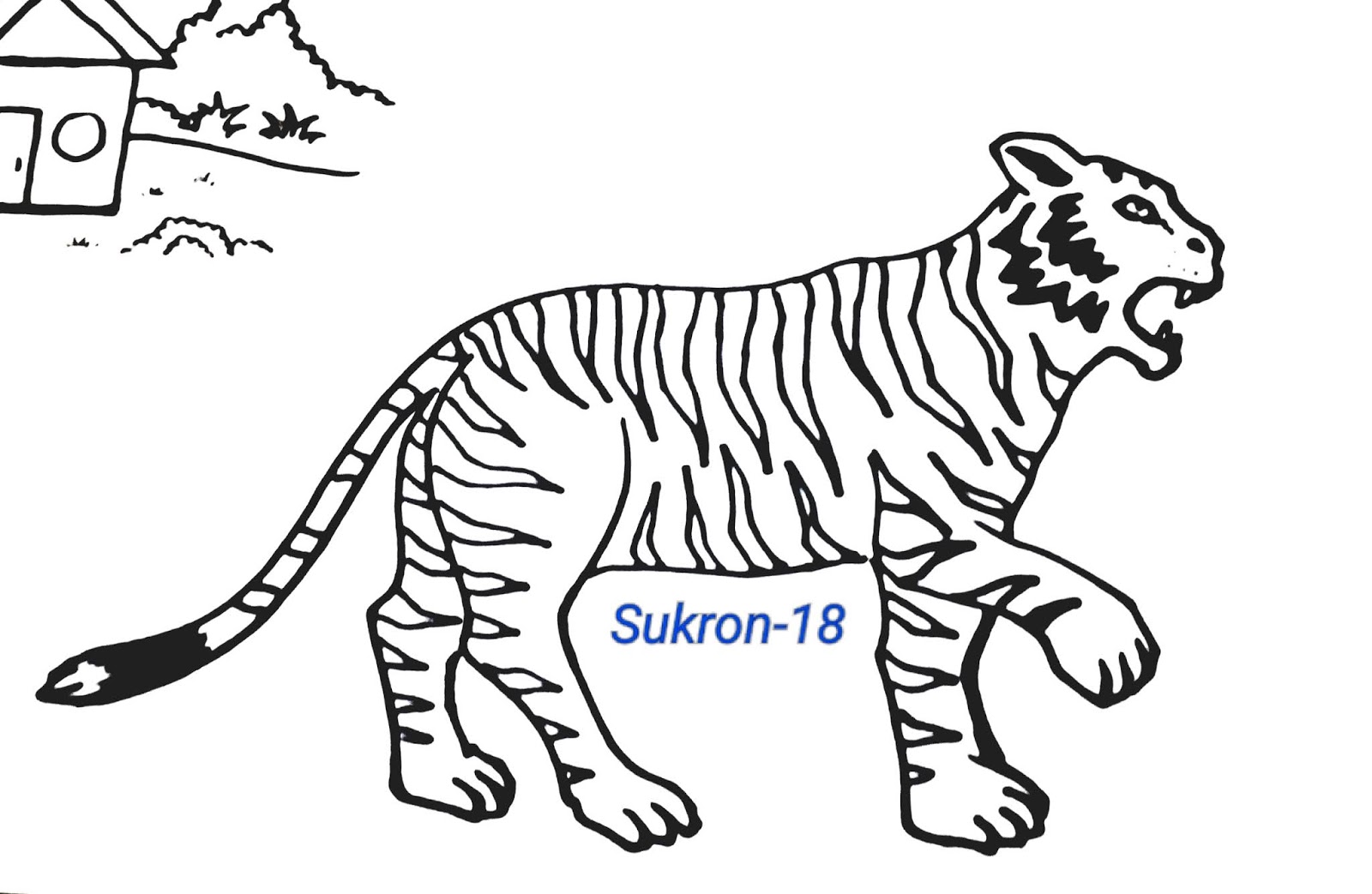 Contoh Gambar Harimau Untuk Mewarnai KataUcap