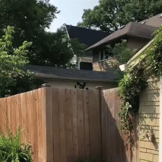 6.gif