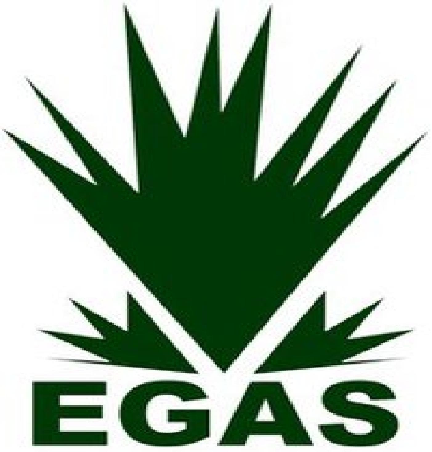 Egyptian Natural Gas Holding Company Egas Egyptian Natural Gas Holding Company Egas