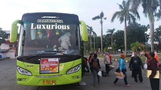 40 Perawat Honorer Dan K2 Perwakilan Pati Pulang Membawa Senyuman