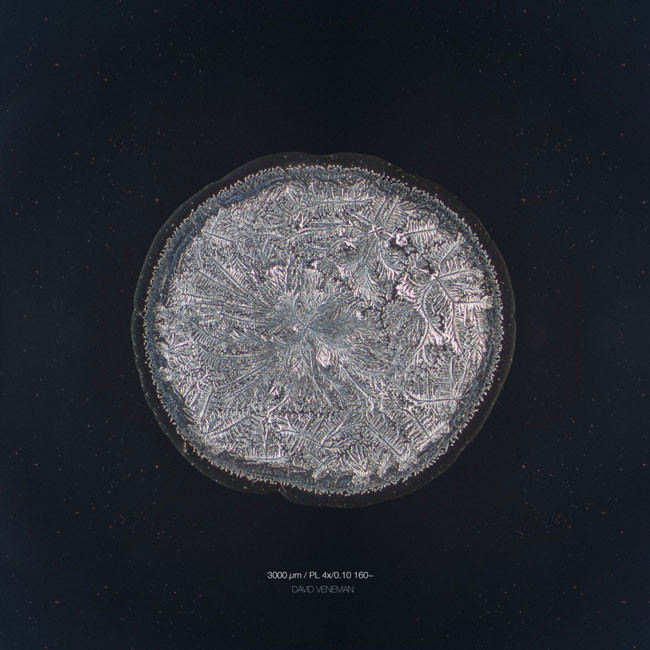 CREATORS NEBULA This is what Tears look like under a Microscope