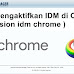 Cara Mengaktifkan IDM di Chrome ( extension idm chrome )