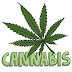Entrevista a un consumidor de cannabis.