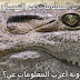 اغرب المعلومات عن التمساح اغرب المعلومات عن التمساح
