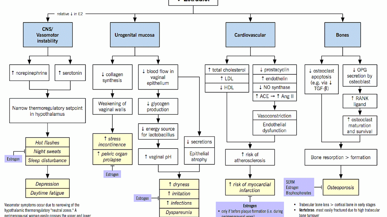 low-fsh-levels-and-menopause-menopause-choices
