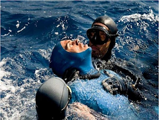 Medidas de Segurança | Pesca Submarina mergulho em apneia , curso de mergulho, Roupas de Mergulho, sub shop