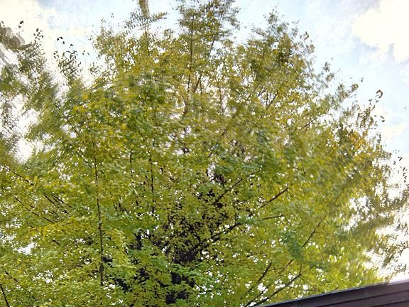 2014年福岡紅葉之旅 開支表及目錄文(2018年3月更新)