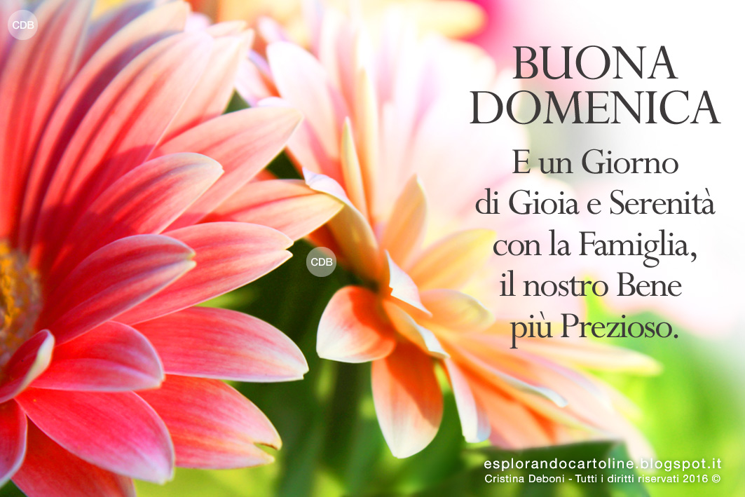 Buona Domenica A Tutti Frasi