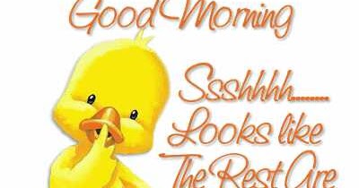 Sms with Wallpapers: Good Morning whatsapp images for mobile
