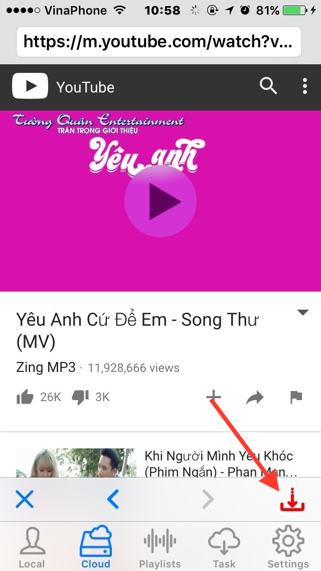 FVD How to save videos?