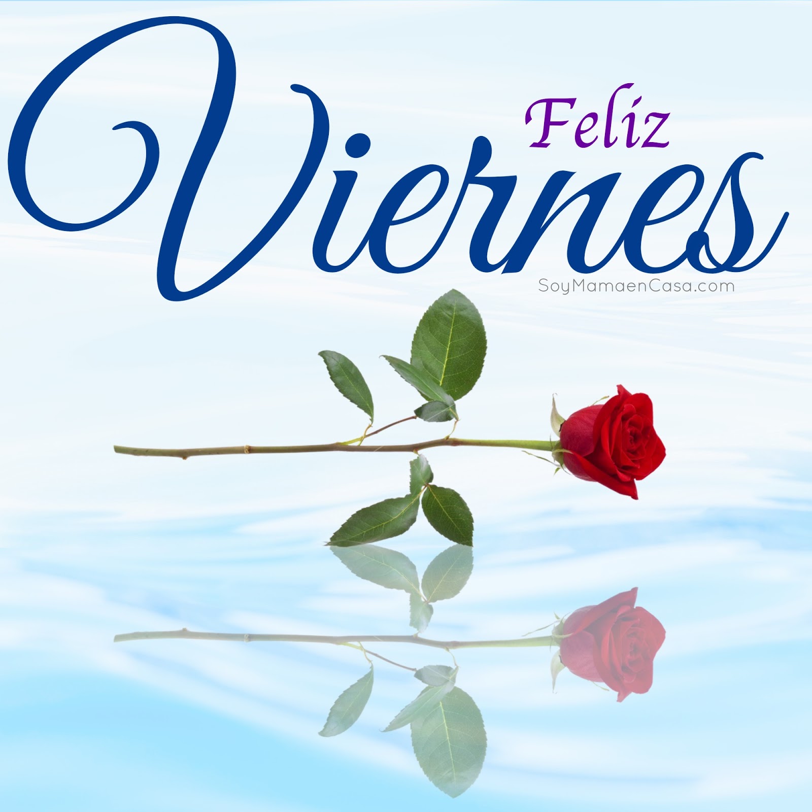 Resultado de imagen de feliz viernes